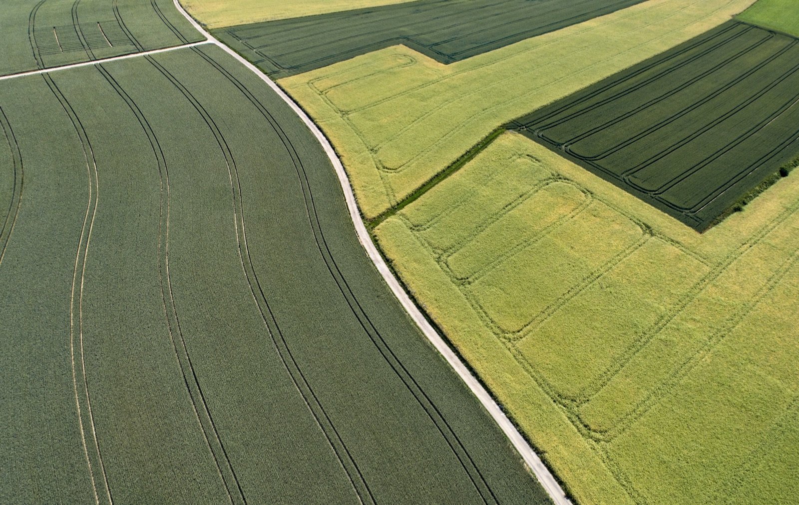 Land and Plot